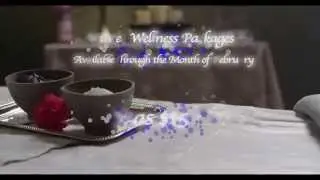 Touchstone Winter Wellness Package Revised