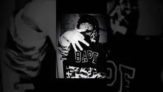 The block sotie