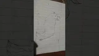 Fox drawing . 🐂 at the Bull drawing please subscribe and like😉
