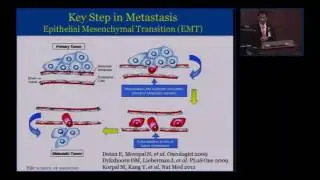 To Cut or not to Cut: the Path to Using Molecular Profiles to Manage Metastatic Cancer