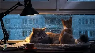 1 Hours Relaxing Sleep Music with Rain Sounds - Meditation Music, Stress Relief, Relaxing Music 💖