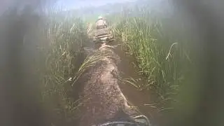 Crossing Bullfrog Pond