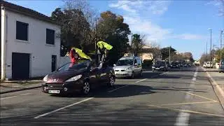 Gilets jaunes cortège