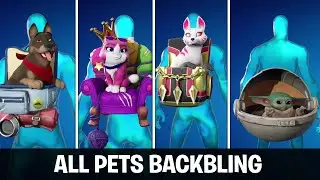 Evolution of All Pets Backbling in Fortnite (2018 - 2024)