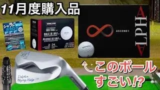 【ALPHAのスピン系購入】姜秀一プロデュースゴルフボール　11月度購入品紹介　コストコ2025ボール　ドルフィンチッパーウェッジ　ゼクシオ14+試打に向けてスリーブ買う　アマチュアに合うシャフトは？