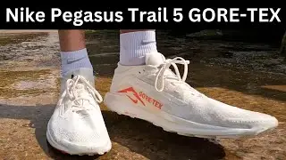 Nike Pegasus Trail 5 GORE-TEX