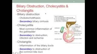 MNT Gallbladder Diseases