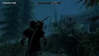 Skyrim Torch Bugs And A Little Cottage