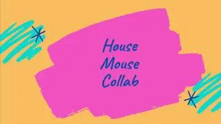 House mouse collab