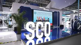 GLOBALink | Digital economy new horizon for China-SCO cooperation