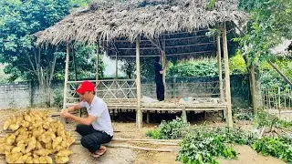 Building green lifestyle Ep. 2|Complete the bamboo roof, Raising more ducks, gardening. Bamboo house