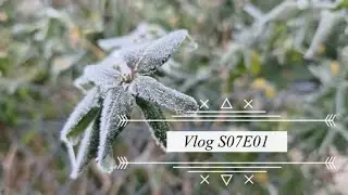 Vlog:  S07E01