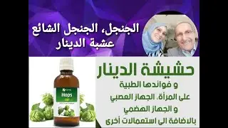 عشبة أو حشيشة الدينار ، الجنجل الشائع ،فوائدها واستخداماتها ومحاذير الإستخدام #الجنجل #حشيشة_الدينار