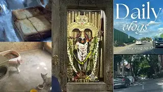 35th D cross - Childhood memories | Kitten adoption | Hanuman temple | Hari super sandwich time |