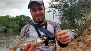 Pescaria de saicangas no Rio Gravataí