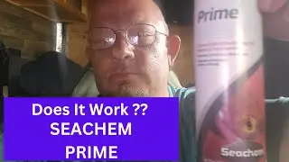 Seachem PRIME Does It Really Work