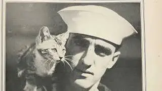 CATS IN THE NAVY book trailer
