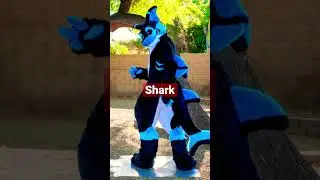 What your favorite fursuit species says about you (in my opinion) #furries #fursuit #fursona #fyp