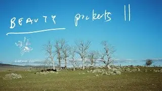 Beauty Pockets II