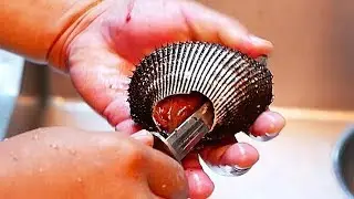 Японская уличная еда - красный моллюск суши сашими морепродукты Япония