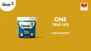 One True Flex I Paint Film Integrity