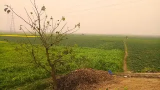 শান্ত-শীতল পরিবেশে সুন্দর একটি গ্রাম || A beautiful village #vlog #fishing #trending