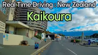 Real Time Driving - Kaikoura, New Zealand