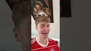 Der FC Bayern in diesem Transferfenster bisher