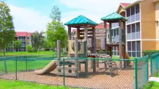 Cypress Trace Apartments in Brandon, FL - ForRent.com