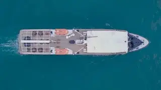Timoleon - With Your Eyes Turned Skywards (Official Video)
