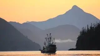 From Boat To Table: The Sustainable Seafood Supply Chain