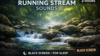 Gentle Stream Water Sounds for Sleeping / 3 Hours  Nature Sounds Black Screen