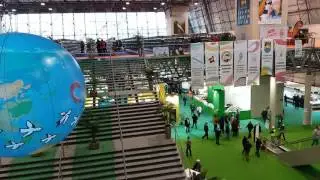 DENTRO DEL MUNDIAL ALMERIA 2017