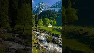 So Beautiful Nature #Short video #likecommand