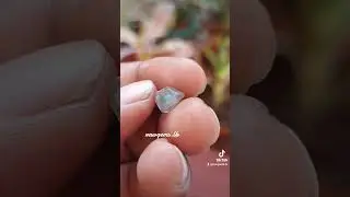 natural  geuda sapphire ස්වාභාවික ගෙවුඩ මැණික