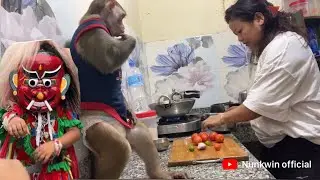 Jogu bhat pakeko dekhera katti khushi 🤣🤣🐒🐒 kina yo kursi dekhera Jogu darako 😱😱