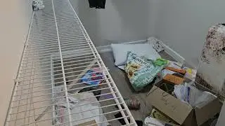 Deep Cleaning My Disaster Closet ASMR 🧹 No Talking | Organizing Sounds