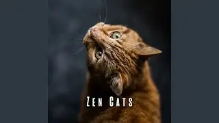 Playful Feline Fugue