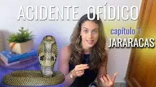 Picada de cobra em equinos e bovinos - Minissérie, capítulo 1