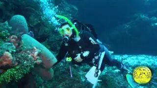 Palancar Harseshoe Cozumel Messico Diving Center Punta Stilo &copy;