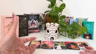 حسش و حرف دلش😍چقدر متاثر شده ❤️‍🔥