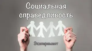 Эксперимент. Социальная справедливость у капуцинов. Франц де Вааль