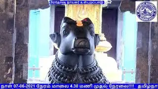 KAPALEESWARAR TEMPLE PRADOSHAM LIVE | MYLAPORE Pradosham Live|அருள்மிகு கபாலீஸ்வரர் திருக்கோயில்