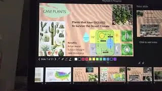 GreenRoofPlants