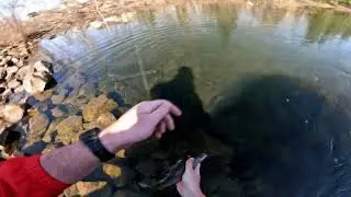 Interior Alaska Grayling Fishing