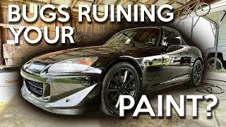 Removing Love Bugs the EASY Way!