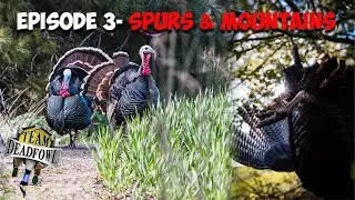 HUNTING HUGE SPURRED RIO TURKEYS AND MOUNTAIN BIRDS!