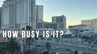 Sunset Walking Tour On The Las Vegas Strip September 2025