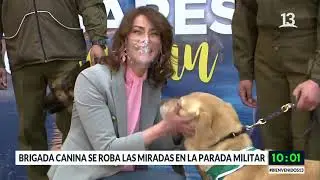 Conocimos a los perritos que participan en la Parada Militar. Bienvenidos, 2021.