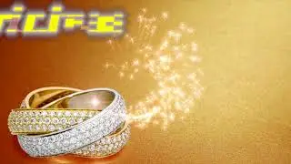 Wedding Invitation DTS Card